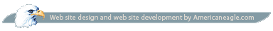 Web site design and web site development by Americaneagle.com